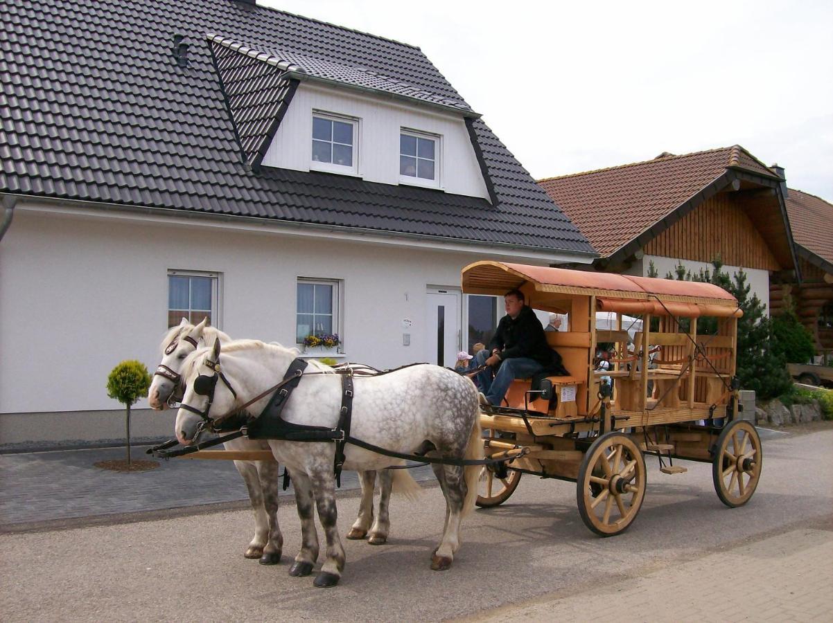 Gastehaus „Haus Am Hahnenberg“ Bed and Breakfast Marmagen Εξωτερικό φωτογραφία